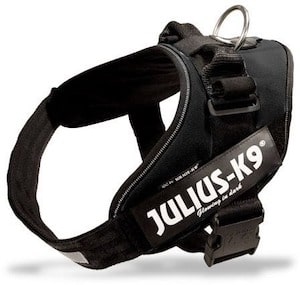 Julius-K9, 16IDC-P-M, IDC Powerharnes