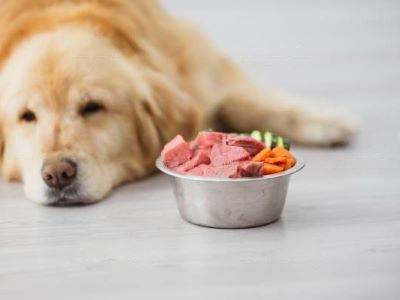 change in appetite change in appetite