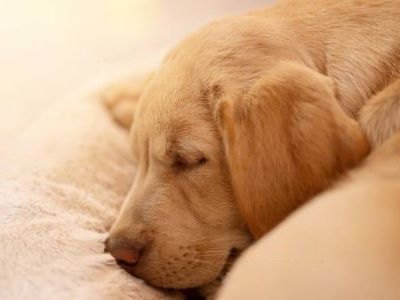 seeking comfort seeking comfort