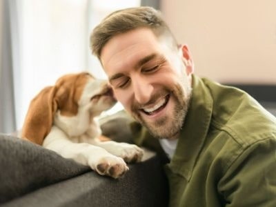dog-licks-my-ears