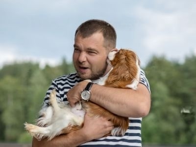 why-does-my-dog-nibble-my-ears