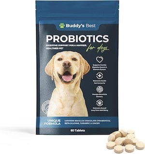 Buddys Best Probiotics For Dogs