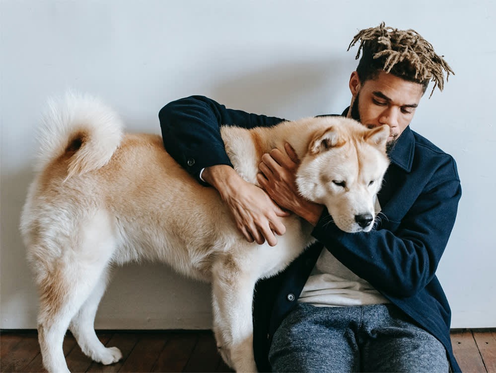 comforting the dog Petting the dog