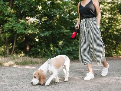 How long should I walk my puppy How long should I walk my puppy