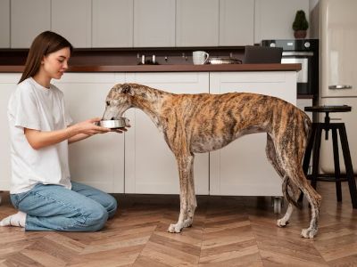 dog-having-fish-oil dog-having-fish-oil