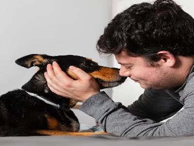 dog-sniff-eyes dog-sniff-eyes