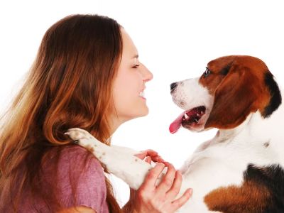 dog-sniffing-eyes dog-sniffing-eyes