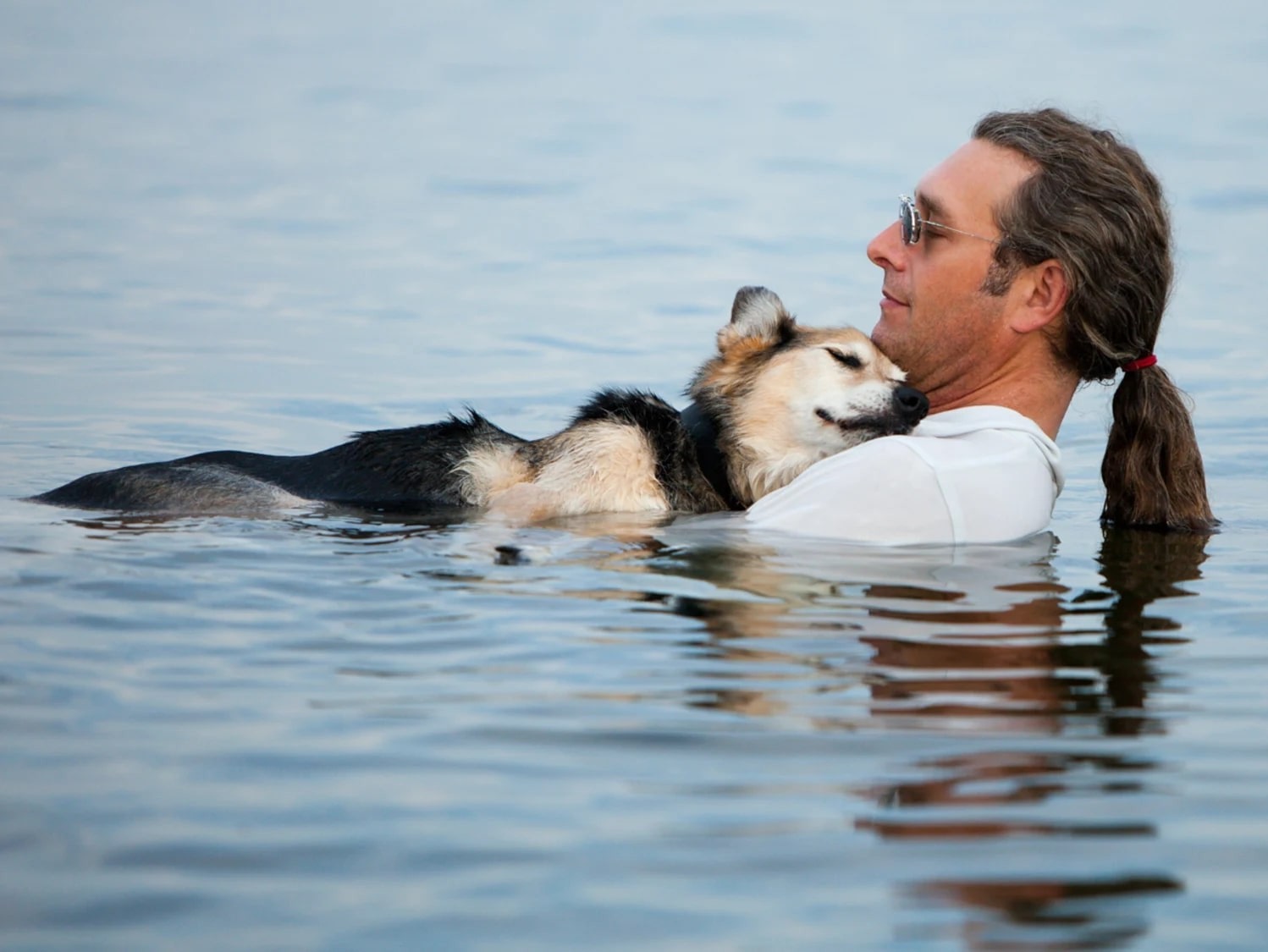 Dog is ill, ill dog standing on owner