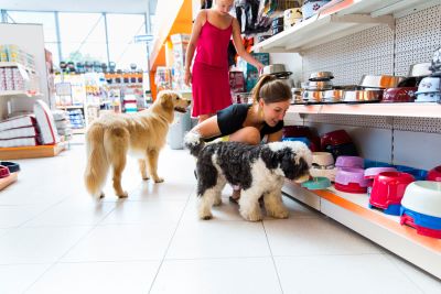 owner buying toy for dog owner buying toy for dog