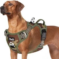 Eyein No Pull Dog Harness Large