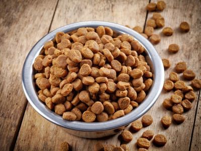 dog dry food dog dry food