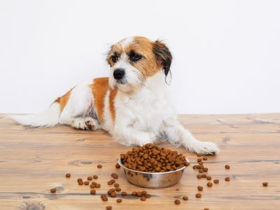 dry food