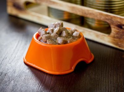 How Much Wet Food to Feed a Dog How Much Wet Food to Feed a Dog