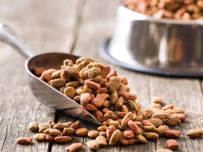 dry dog food dry dog food