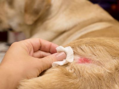 using sudocrem on wound