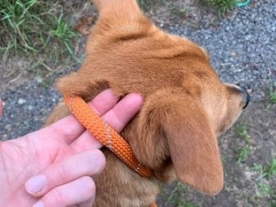 How to Use a Slip Lead Correctly How to Use a Slip Lead Correctly