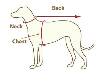 measurement guidelines for a coat
