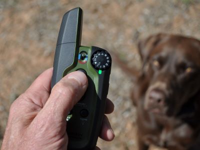 transmitter of e-collar transmitter of e-collar