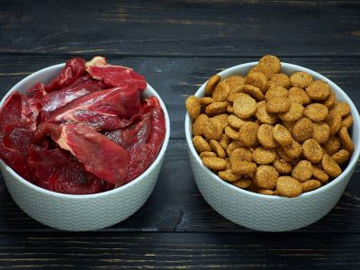 kibble and raw food for puppy kibble and raw food for puppy