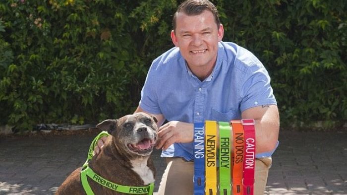 What Do Different Color Dog Leads Mean What Do Different Color Dog Leads Mean