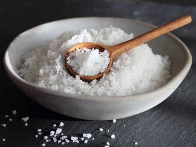 sodium as salt in dog's diet