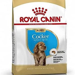 best-kibble-for-cockapoo-royal-canin