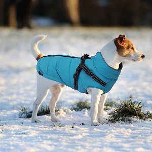 Warm Winter Dog Coat with Harness by babepet
