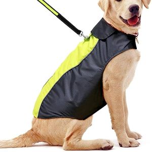 Dog Raincoat by YFbrite 