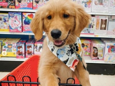 Rules and Regulations of B&M Stores Rules and Regulations of B&M Stores