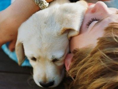 canine cuddling canine cuddling