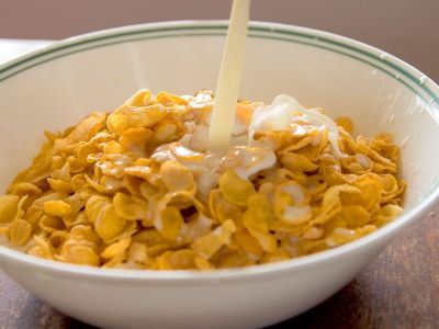 can dogs eat cornflakes with milk? can dogs eat cornflakes with milk?