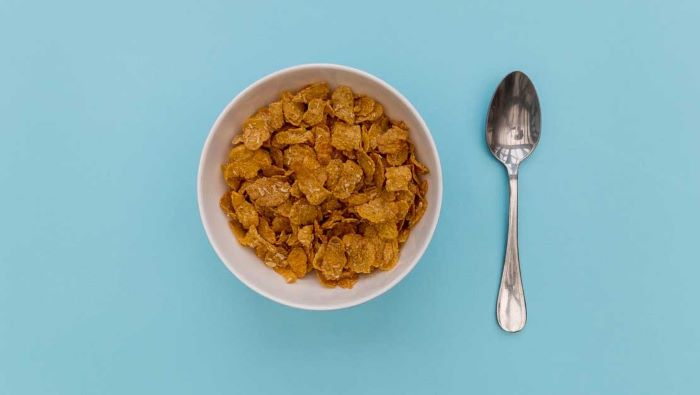 can dogs eat cornflakes? can dogs eat cornflakes?