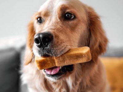 dog and yak chew stick dog and yak chew stick