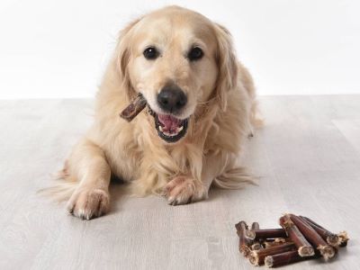 dog dental chew dog dental chew