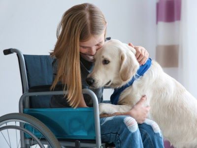 guide dog with handler guide dog with handler