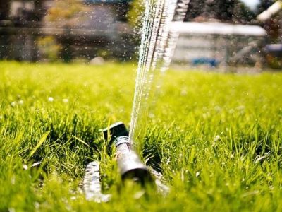 grass washing grass washing