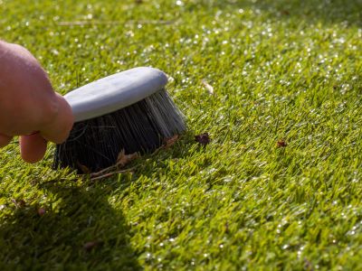 brushing grass brushing grass
