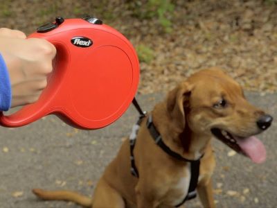 how does a retractable dog lead work?
