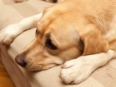side effects on antihistamines side effects on antihistamines