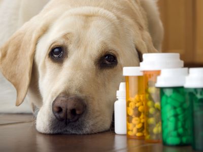 when should antihistamines be used? when should antihistamines be used?