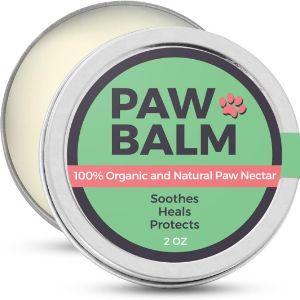 paw-balm-for-dogs-paw-nectar