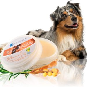 paw-balm-for-dogs-dermoscent