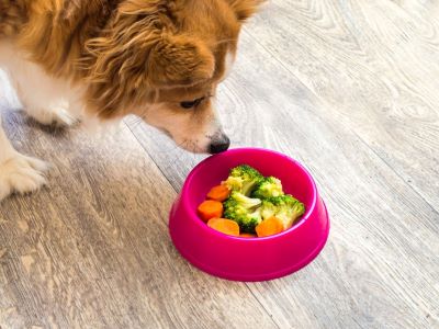 healthier food when on a low-sodium diet healthier food when on a low-sodium diet