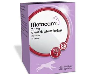 metacam for dog metacam for dog