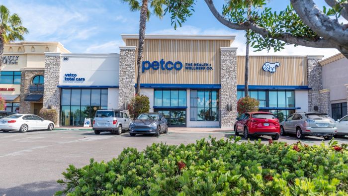 How Much Are Dog Training Classes at Petco
