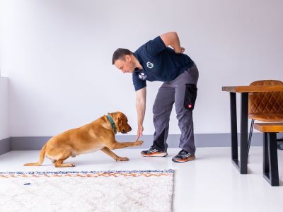 man training a dog