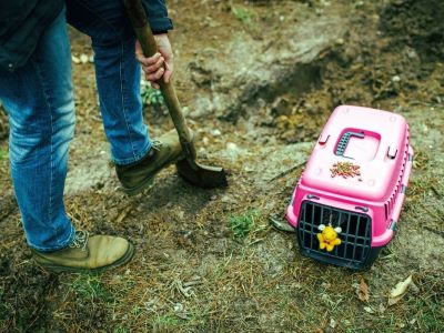 how to bury a dog in the garden how to bury a dog in the garden