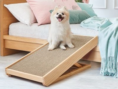 happy dog on a ramp happy dog on a ramp