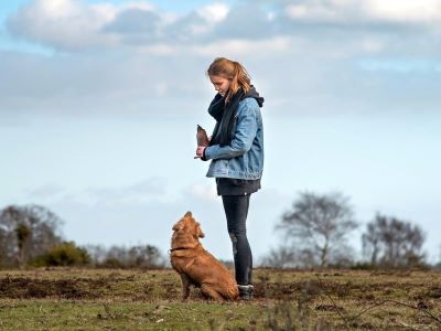 dog and trainer dog and trainer