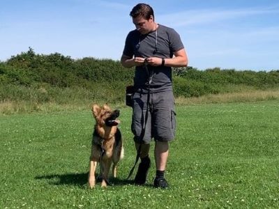 dog and trainer dog and trainer